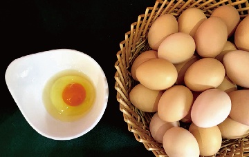 【長田動態(tài)】給家人的每一口蛋，都該有“安心答案”——“長田樂享濟蛋”用“一蛋一碼”破解吃蛋焦慮