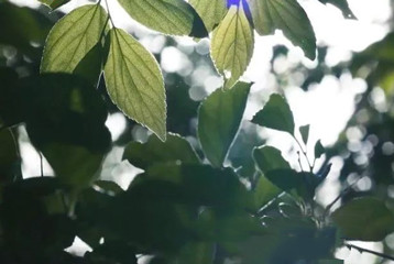 尋找百名困境兒童，聆聽童音，護(hù)苗成長